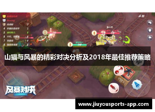 山猫与风暴的精彩对决分析及2018年最佳推荐策略